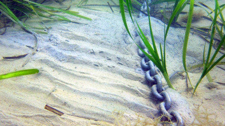Anchor dragging through seagrass causing a bare patch.
